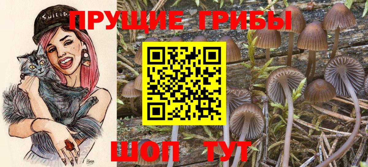 Саяногорск  Галлюциногенные грибы MAGIC MUSHROOMS  Вход с VPN 
